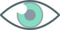 icon eye